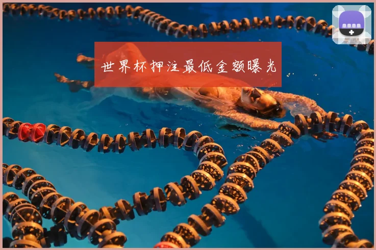 世界杯押注最低金额曝光