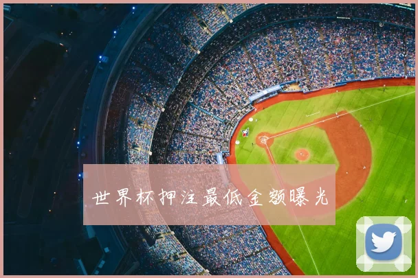 世界杯押注最低金额曝光