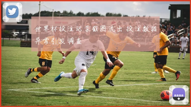 世界杯投注记录截图流出 投注数据异常引发调查