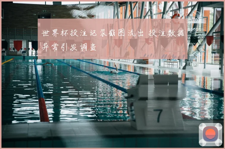 世界杯投注记录截图流出 投注数据异常引发调查