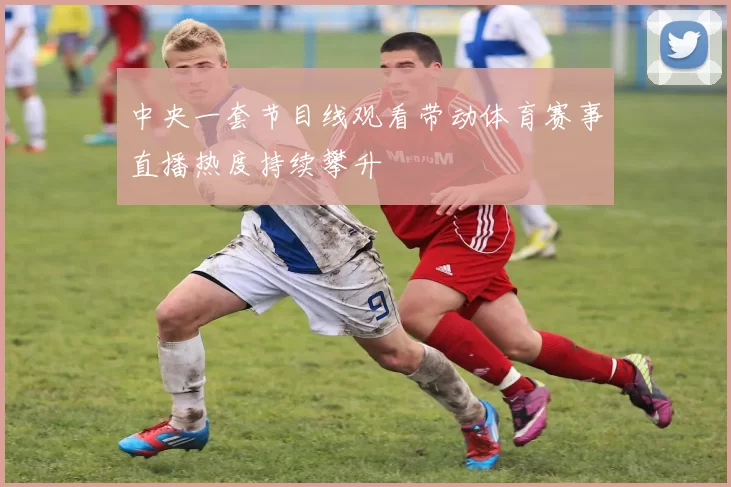 中央一套节目线观看带动体育赛事直播热度持续攀升