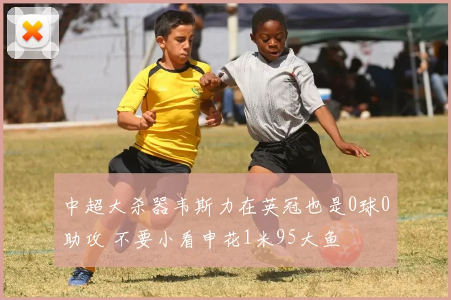 中超大杀器韦斯力在英冠也是0球0助攻 不要小看申花1米95大鱼